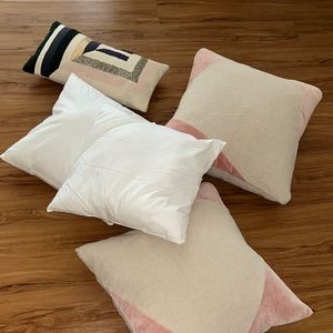 4 West Elm down Pillows w/ Covers